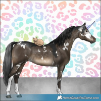 Horse Color:Gray White Spotted Brown Dun Tobiano 