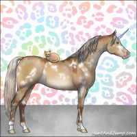 Horse Color:Gray White Spotted Silver Sable Champagne Dun