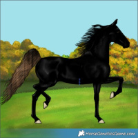 Horse Color:Void White Spotted Red Dun Splash Tobiano Varnish 