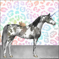 Horse Color:White Spotted Grullo Ice Sabino Brindle