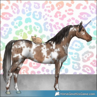 Horse Color:White Spotted Liver Red Dun Brindle 