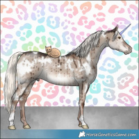 Horse Color:White Spotted Liver Red Dun Mushroom Rabicano Brindle 
