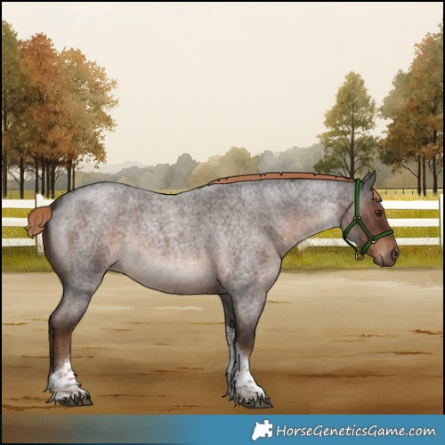 Horse Color:Liver Red Roan Tobiano