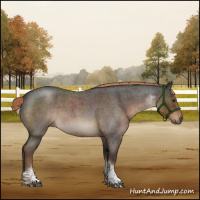 Horse Color:Liver Red Roan Tobiano 