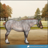Horse Color:Liver Red Roan Tobiano