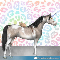 Horse Color:Brown Dun Mushroom Sabino Tobiano 