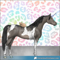 Horse Color:Grullo Tobiano 