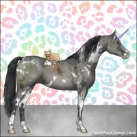 Horse Color:White Spotted Grullo Ice Sabino 