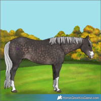 Horse Color:Platinum Silver Brown 