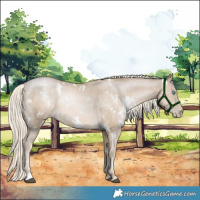 Horse Color:White Spotted Chocolate Palomino Pearl Mushroom