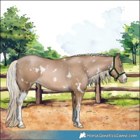 Horse Color:White Spotted Chocolate Palomino Pearl 