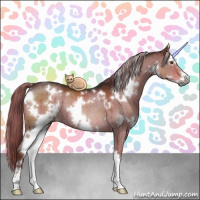 Horse Color:Gray White Spotted Liver Red Dun Mushroom Sabino Rabicano Brindle 
