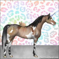Horse Color:Brown Dun Sabino Tobiano Rabicano 