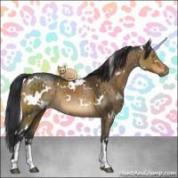 Horse Color:White Spotted Brown Dun Sabino Rabicano Brindle