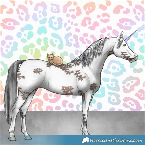 Horse Color:Brown Ice Dun Mushroom Sabino Rabicano Brindle 