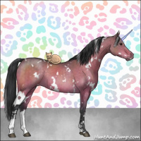 Horse Color:White Spotted Brown Dun Sabino Rabicano Brindle