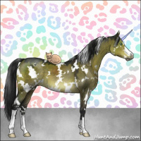 Horse Color:Gray White Spotted Brown Dun Mushroom Sabino 