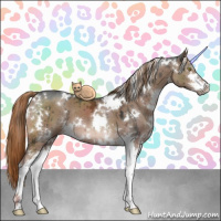 Horse Color:White Spotted Liver Red Dun Ice Sabino Brindle 