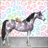 Horse Color:White Spotted Brown Ice Dun Sabino Rabicano Brindle 