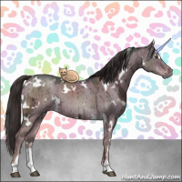 Horse Color:White Spotted Liver Red Dun Ice Sabino Rabicano Brindle