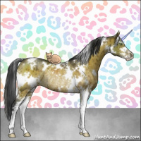 Horse Color:White Spotted Brown Dun Sabino Rabicano Brindle