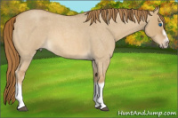 Horse Color:Red Dun Roan Splash Frame Rabicano 