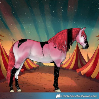 Horse Color:Void Watercolor Liver Red Dun Onyx Sabino Tobiano 
