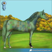 Horse Color:Nacre Watercolor Smoky Black Chinchilla 