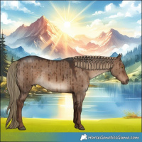 Horse Color:White Spotted Liver Red Dun Brindle 
