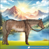 Horse Color:White Spotted Liver Red Dun Brindle