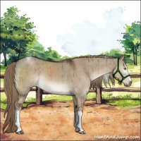 Horse Color:White Spotted Liver Red Dun Tobiano Brindle 