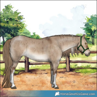 Horse Color:White Spotted Liver Red Dun Tobiano Brindle 