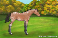 Horse Color:Bay Ice 