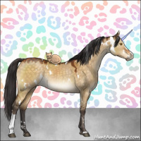 Horse Color:White Spotted Buckskin Dun Sabino
