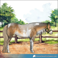 Horse Color:Chocolate Palomino Mushroom Sabino Tobiano 