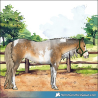 Horse Color:Chocolate Palomino Mushroom Sabino Tobiano 