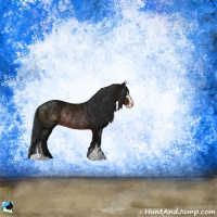 Horse Color:Brown Ice Sabino Rabicano 