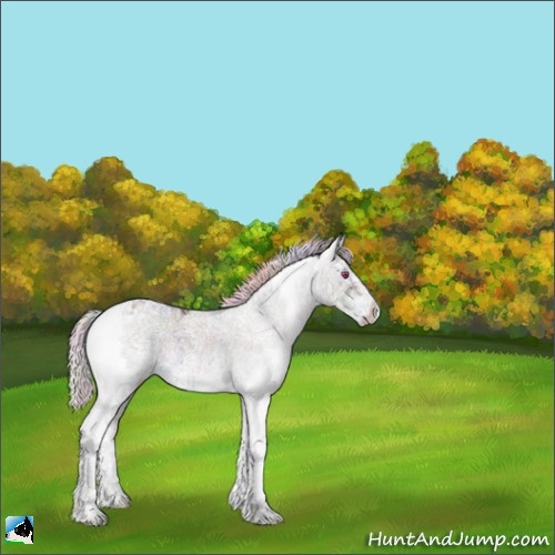 Horse Color:Nacre Chocolate Silver Brown Chinchilla Ice Sabino 