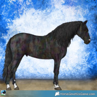 Horse Color:Midnight Brown Ice 