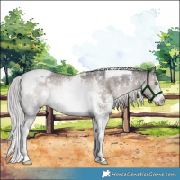 Horse Color:Platinum Chocolate Palomino Sabino Tobiano 