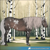 Horse Color:Platinum White Spotted Liver Chestnut Sabino 
