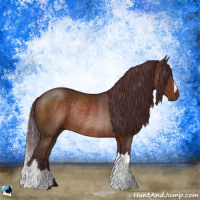 Horse Color:Chocolate Brown Rabicano 