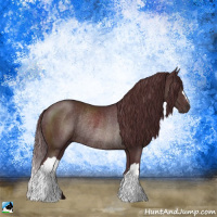 Horse Color:Chocolate Brown Rabicano 