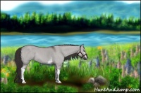 Horse Color:Platinum White Spotted Liver Red Dun Rabicano 