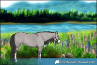 Horse Color:Platinum White Spotted Liver Red Dun Rabicano 