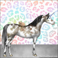 Horse Color:White Spotted Brown Dun Sabino Splash 