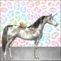 Horse Color:Gray White Spotted Liver Red Dun Ice Sabino Brindle 