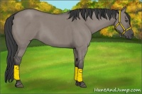 Horse Color:Smoky Grullo Roan 