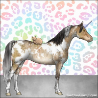 Horse Color:White Spotted Buckskin Dun Rabicano Brindle 