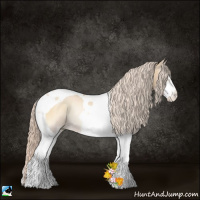 Horse Color:Palomino Pearl Onyx Sabino Tobiano Rabicano 